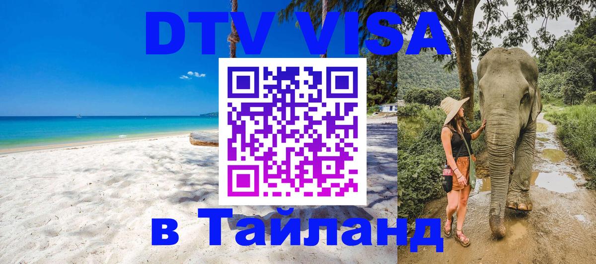 Оформление DTV визы под ключ: стоимость и тарифы, только загранпаспорт - 20.11.2025 